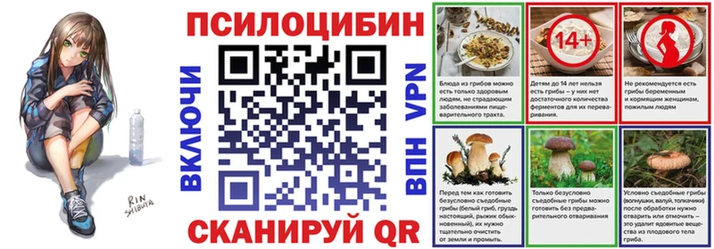 KRAKEN   как найти закладки  Камбарка  Псилоцибиновые грибы Psilocybine cubensis 